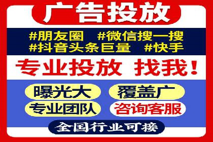 行业领先SEM服务公司案例研究